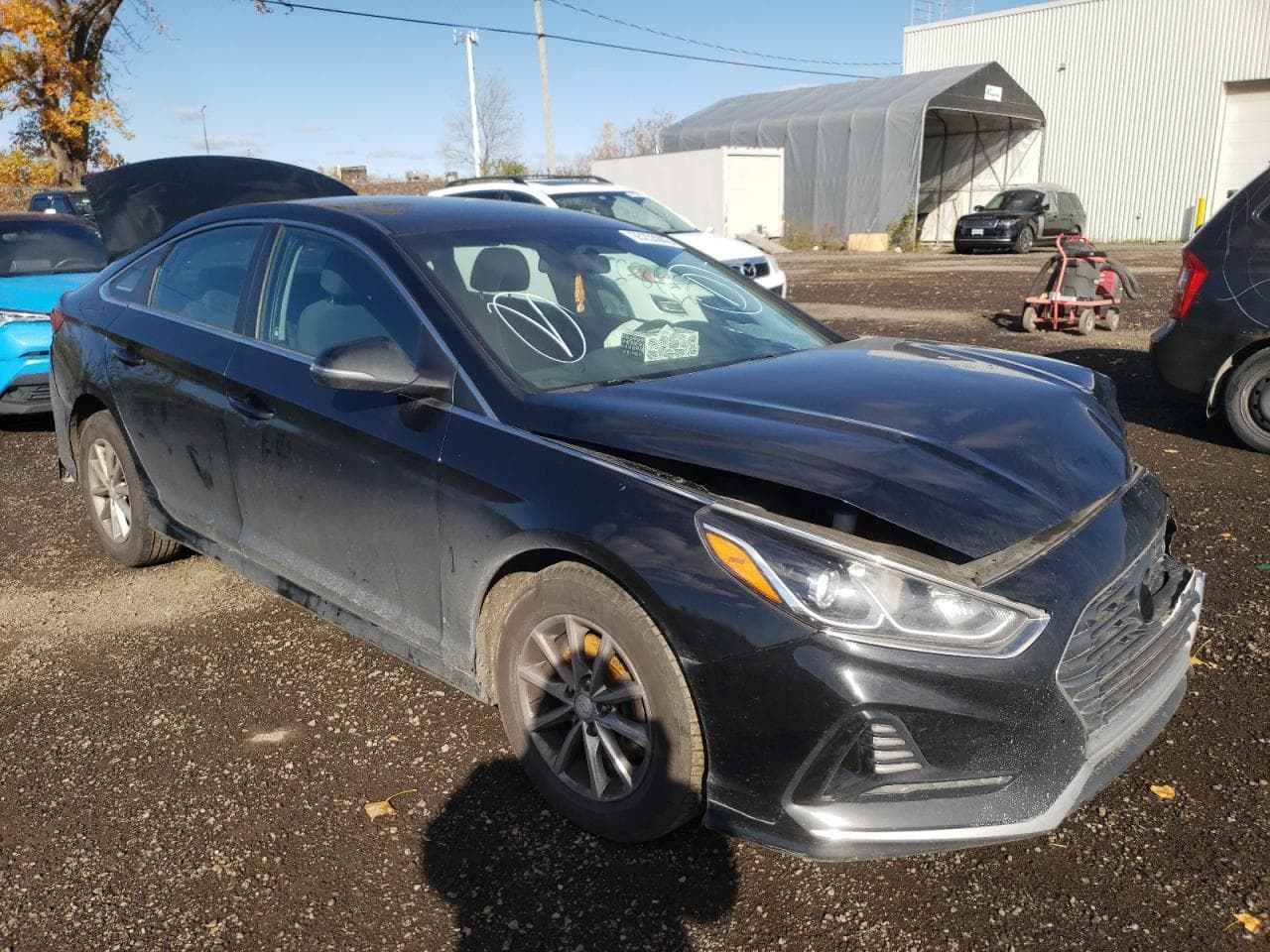 2019 Hyundai Sonata Se