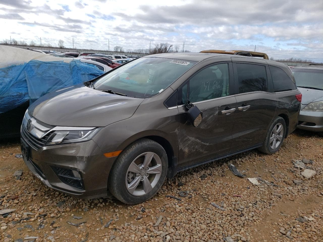 2019 Honda Odyssey Exl