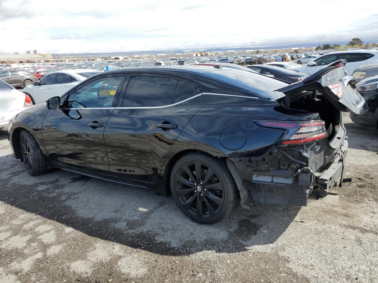 2019 Nissan Maxima S