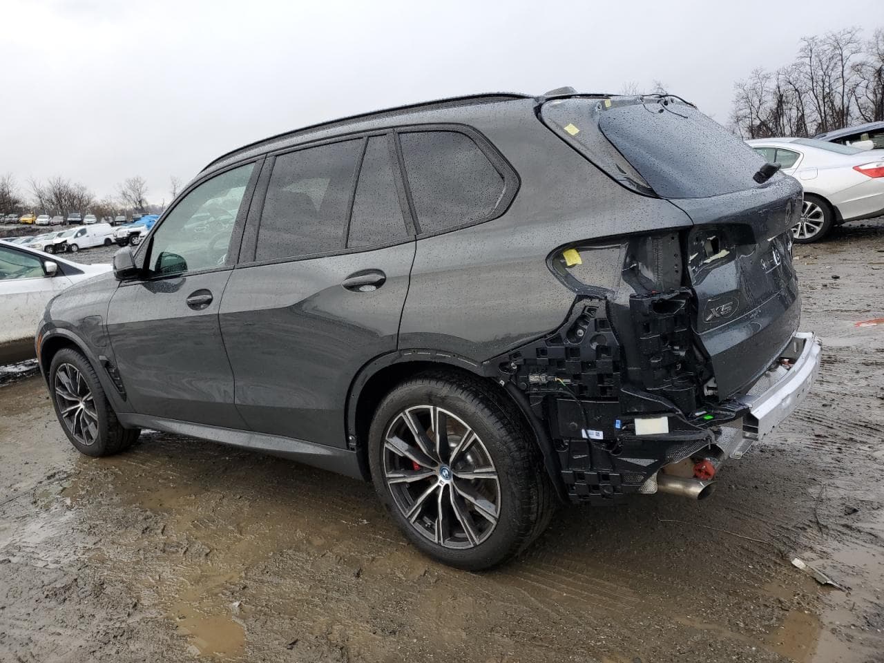 2024 Bmw X5 Xdrive50E
